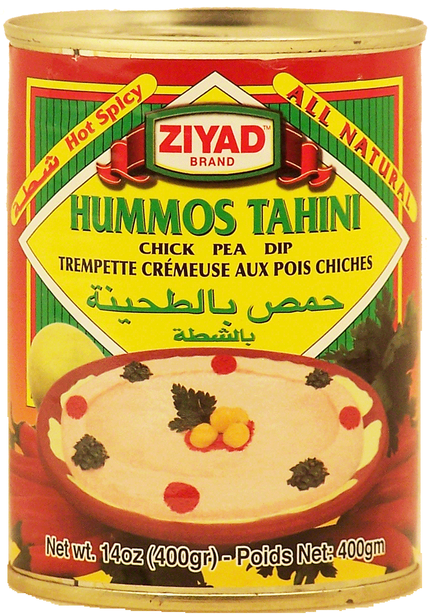 Ziyad Hummos Tahini chick pea dip, hot spicy Full-Size Picture